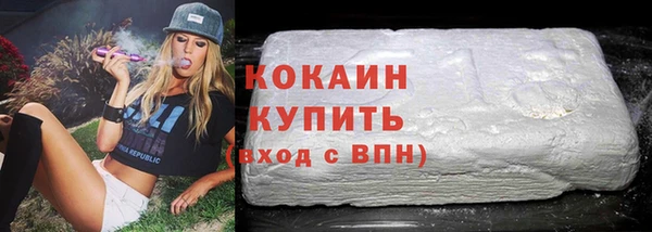 мдпв Грязовец